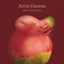livre d'Anne Geddes où les bébés sont dans des fleurs