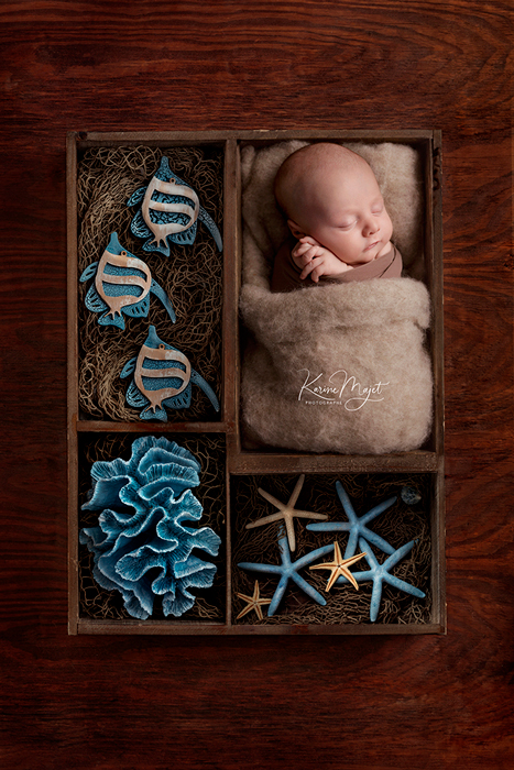 adorable bébé dans un panier avec des étoiles de mer et des poissons bleus Karine Majet