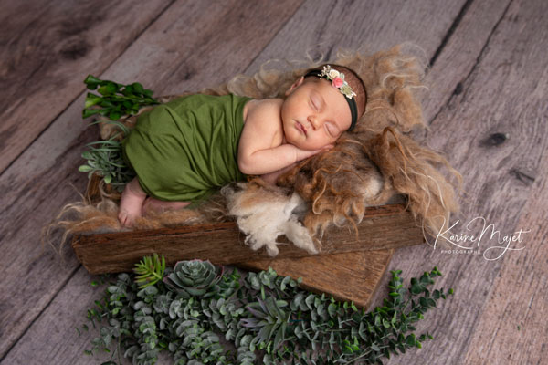 mise en scène naturelle dans les tons verts et bois pour une photo de naissance