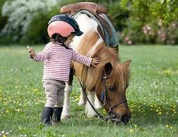 le centre équestre permet de monter des poneys aux enfants à partir de 18 mois