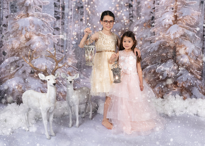 séance photo de Noël avec un décor de forêt de bouleaux sous la neige et cerfs